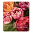 PaperClip Kaart - Gefeliciteerd, een fleurige dag gewenst - Photo factory - VVE.6025