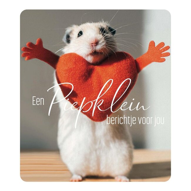 PaperClip Kaart - Een piepklein berichtje voor jou - Photo factory - VVE.6041
