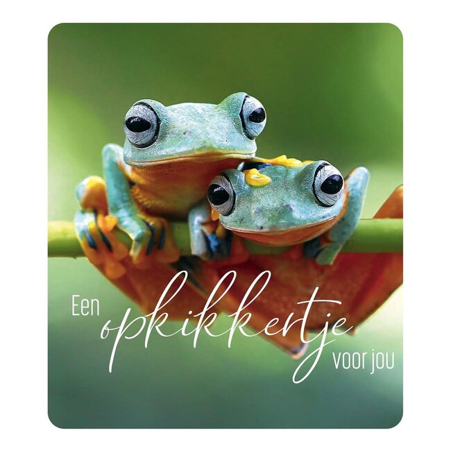 PaperClip Kaart - Een opkikkertje voor jou - Photo factory - VVE.6045