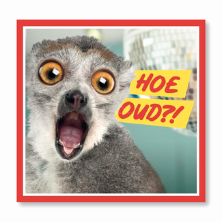PaperClip Kaart - Muziek - Hoe oud?! - 010