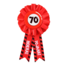Paper Dreams Rozet - 70 jaar - Verkeersbord