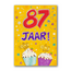 Artige Kaart - That funny age - 87 jaar - AT1047-C