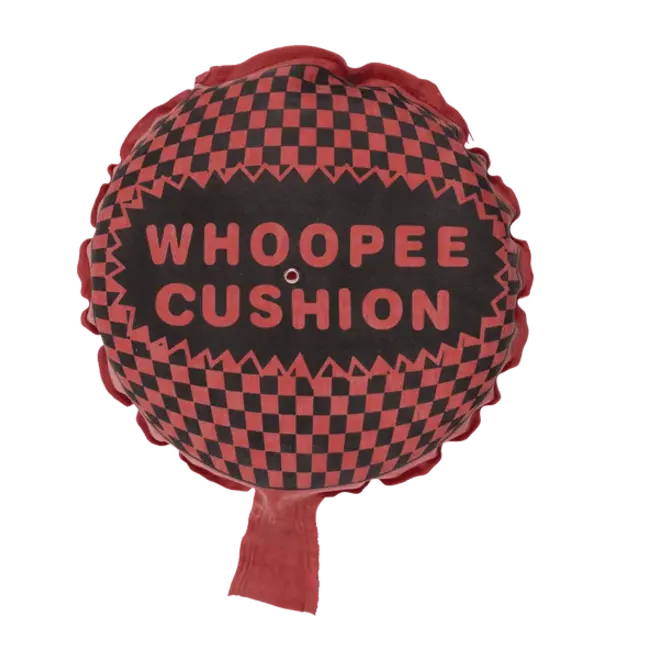 Out of the Blue Scheetkussen - Whoopie cushion - 19cm - 1st. - Willekeurig geleverd