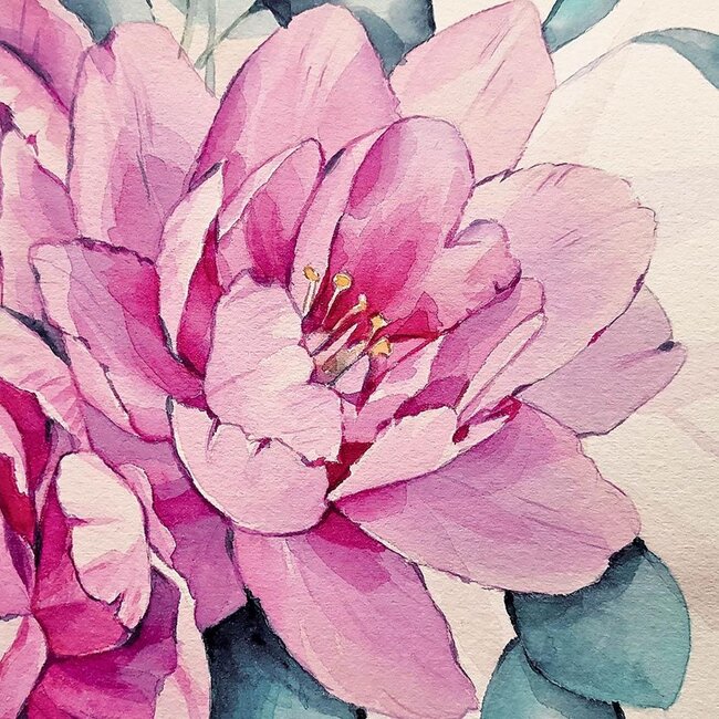 Kaart - Roze bloem & aquarel - Galleria - VB0.3011