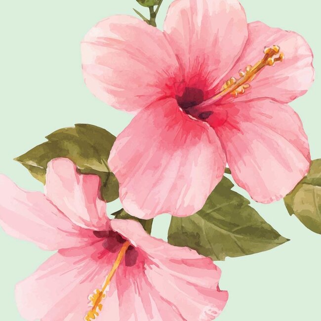 Kaart - Roze hibiscusbloemen - Galleria - VB0.3072