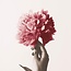 Kaart - Hand met pioenroos - Galleria - VB0.3075