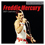 Comello Kalender - Freddie Mercury - 2027 - 30x30cm