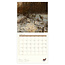 Comello Kalender - Rien Poortvliet - 2027 - 30x30cm