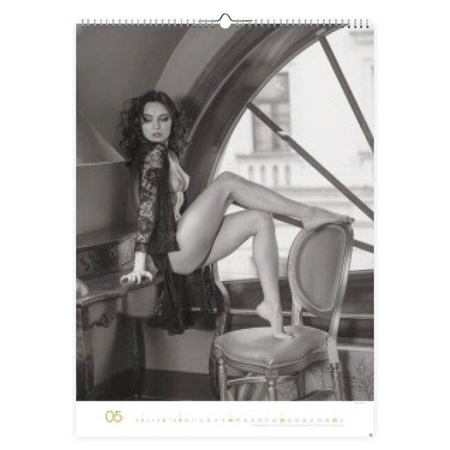 Comello Kalender - Vrouwen, Michael Reh - 2027 - 49x68cm