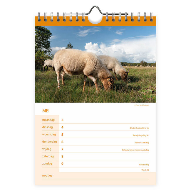 Comello Kalender - Boerderijdieren - 2027 - 16,5x23cm