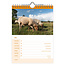 Comello Kalender - Boerderijdieren - 2027 - 16,5x23cm