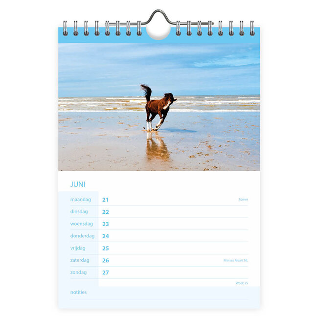 Comello Kalender - Paarden - 2027 - 16,5x23cm