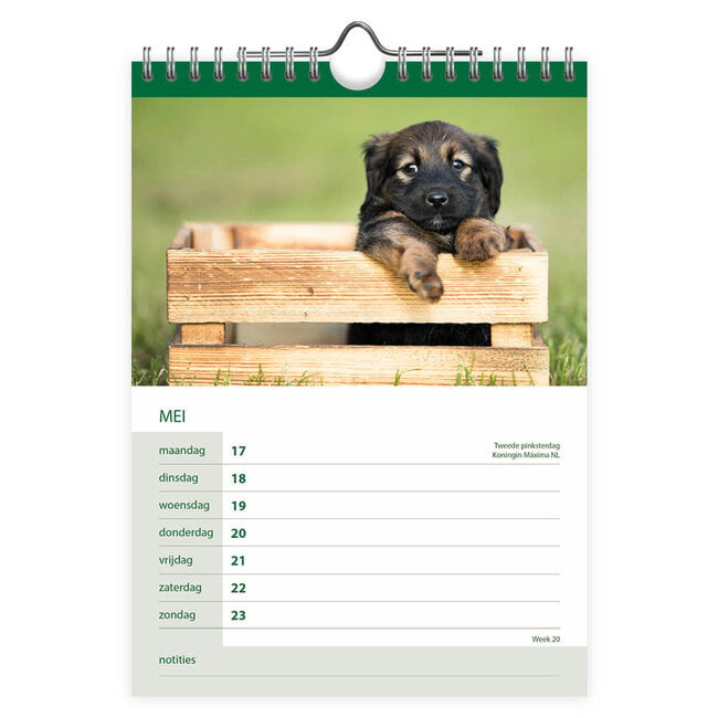 Comello Kalender - Honden - 2027 - 16,5x23cm