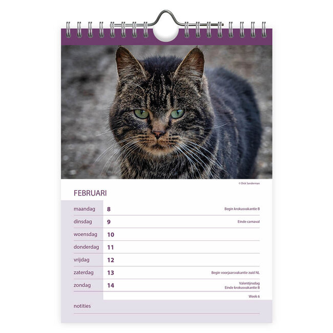 Comello Kalender - Katten - 2027 - 16,5x23cm