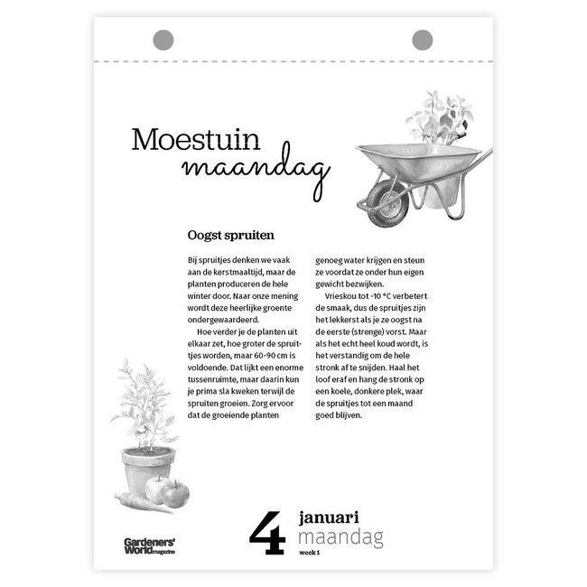Comello Scheurkalender - Gardeners' world - 2027 - 13x18cm