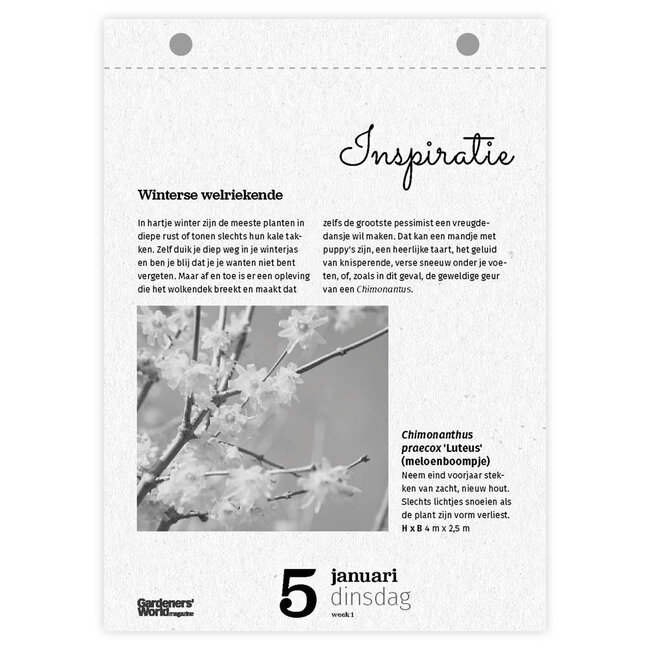 Comello Scheurkalender - Gardeners' world - 2027 - 13x18cm
