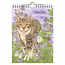 Comello Kalender - Suus - Franciens katten - 2027 - 16,5x23cm