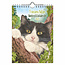 Comello Kalender - Bailey - Franciens katten - 2027 - 16,5x23cm