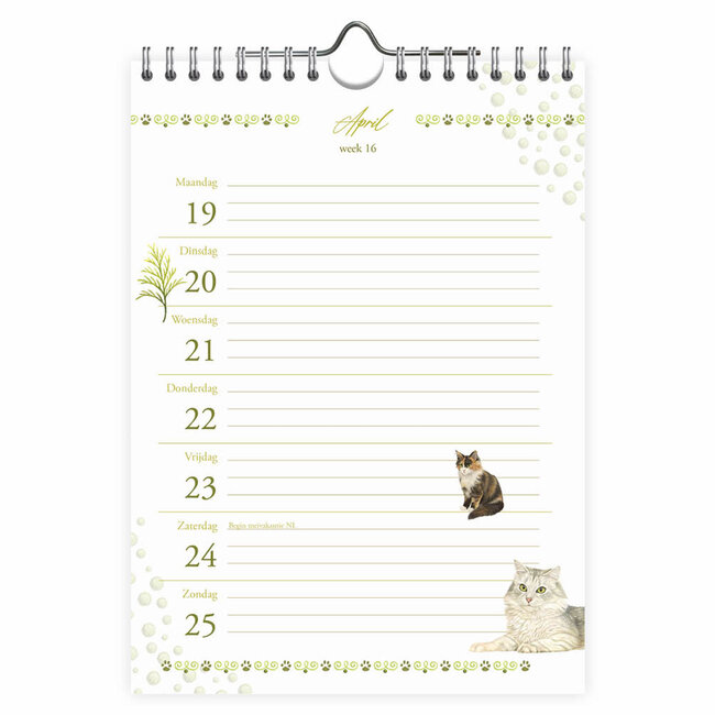 Comello Kalender - Bailey - Franciens katten - 2027 - 16,5x23cm