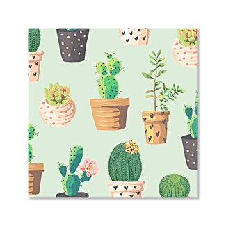 Kaart - Cactussen & vetplanten - Galleria - VB0.3052