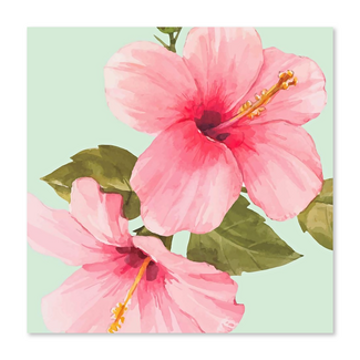 Kaart - Roze hibiscusbloemen - Galleria - VB0.3072