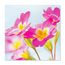 Kaart - Roze sleutelbloemen - Galleria - VB0.3082