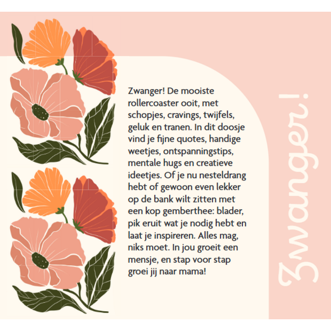 Boek - Levensmomenten - Hoera je bent zwanger
