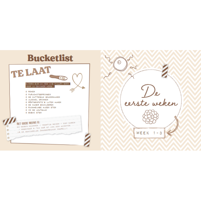 Boek - Negen maandenboek
