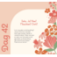 Boek - Baby's eerste 100 dagen