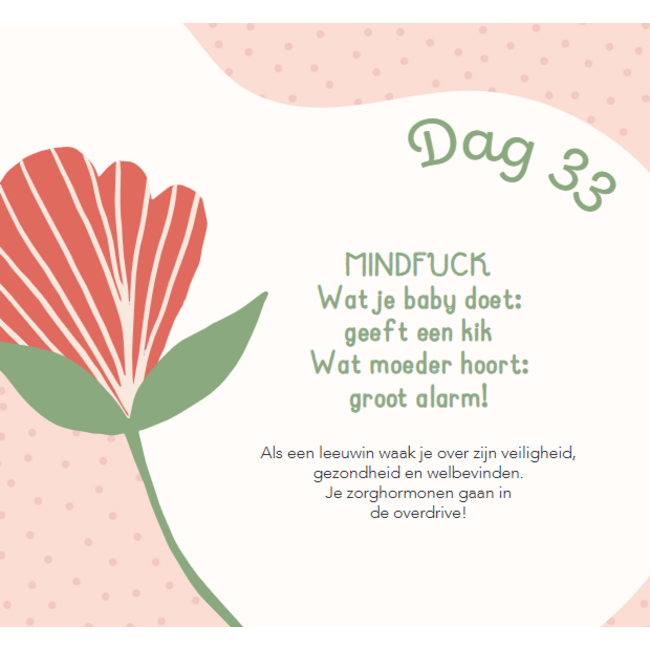 Boek - Baby's eerste 100 dagen
