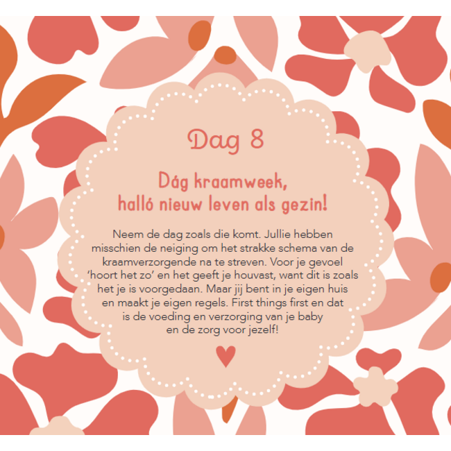 Boek - Baby's eerste 100 dagen