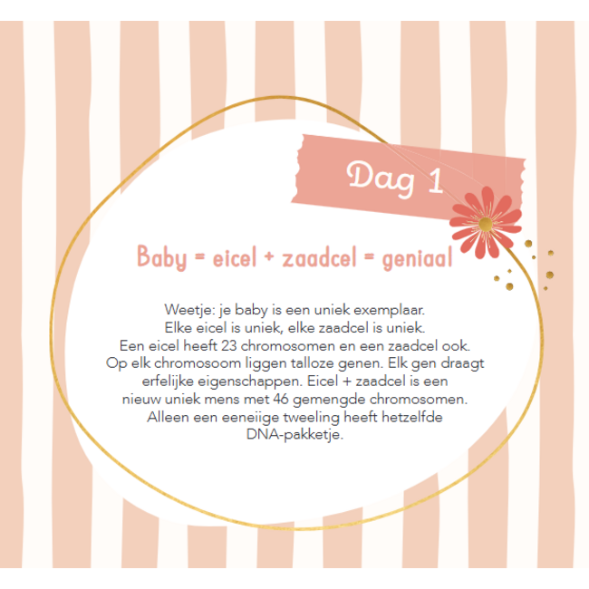 Boek - Baby's eerste 100 dagen