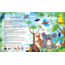 Boek - Speuren naar koala's