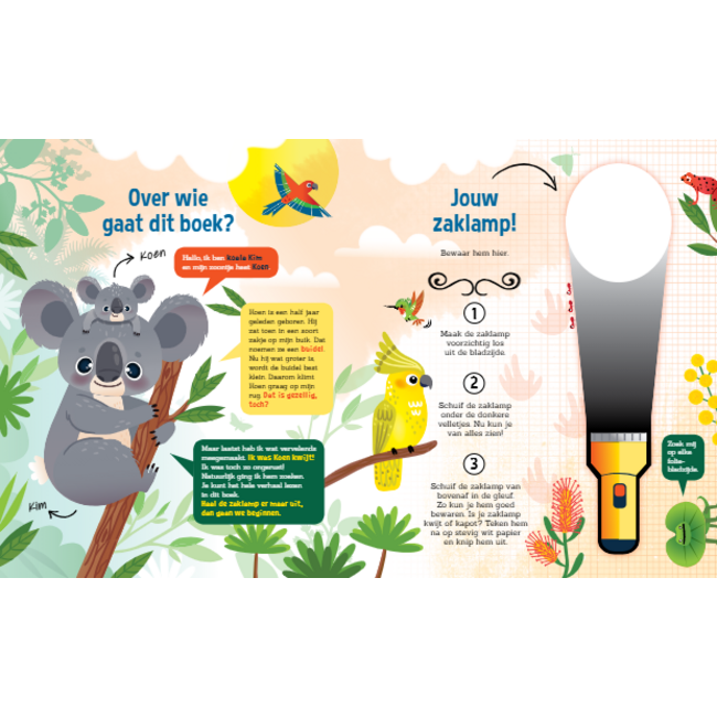 Boek - Speuren naar koala's
