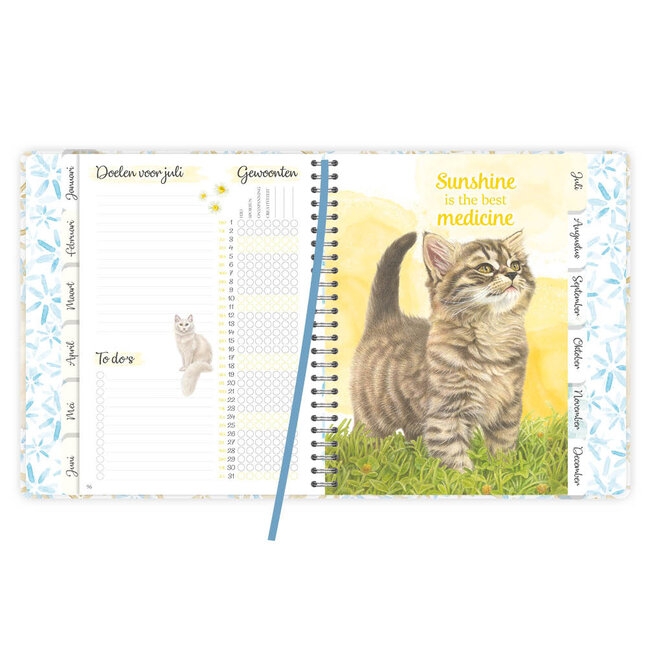 Comello Kalender - Lizzy - Franciens katten - 2027