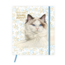 Comello Kalender - Lizzy - Franciens katten - 2027