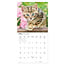 Comello Kalender - Kittens - 2027 - 30x30cm