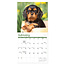 Comello Kalender - Puppies - 2027 - 30x30cm