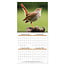 Comello Kalender - Songbirds - 2027 - 30x30cm