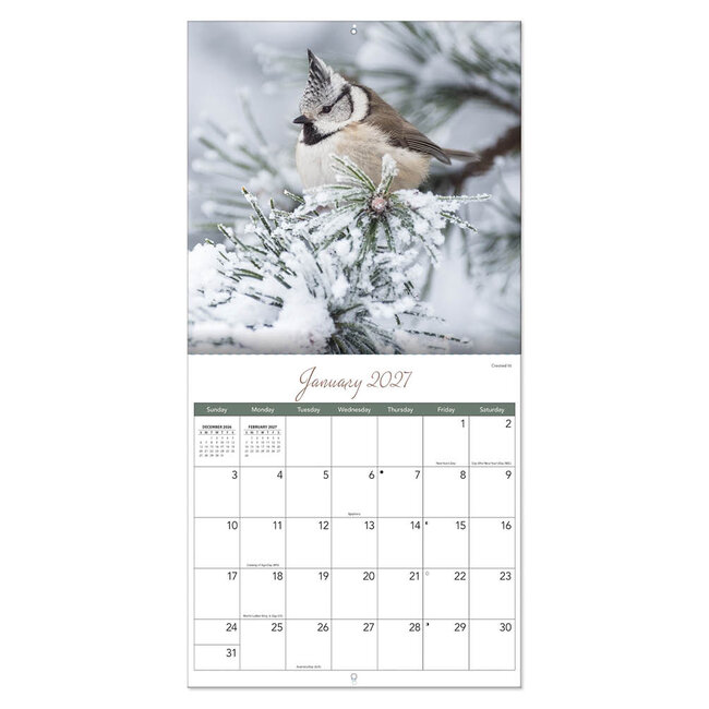 Comello Kalender - Songbirds - 2027 - 30x30cm