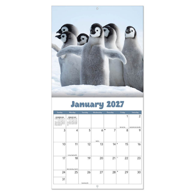 Comello Kalender - On the farm - 2027 - 30x30cm