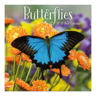 Comello Kalender - Butterflies - 2027 - 30x30cm