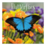 Comello Kalender - Butterflies - 2027 - 30x30cm