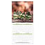 Comello Kalender - Butterflies - 2027 - 30x30cm