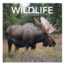 Comello Kalender - Wildlife - 2027 - 30x30cm