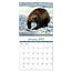 Comello Kalender - Wildlife - 2027 - 30x30cm