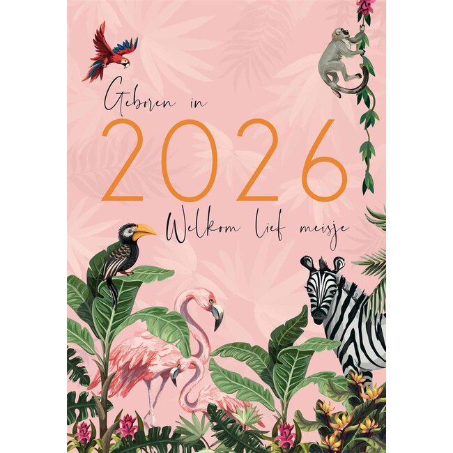 PaperClip Kaart - Geboren in 2026, welkom lief meisje - ME - GBE.2944