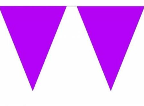 Vlaggenlijn Effen Paars 10m inclusief lint
