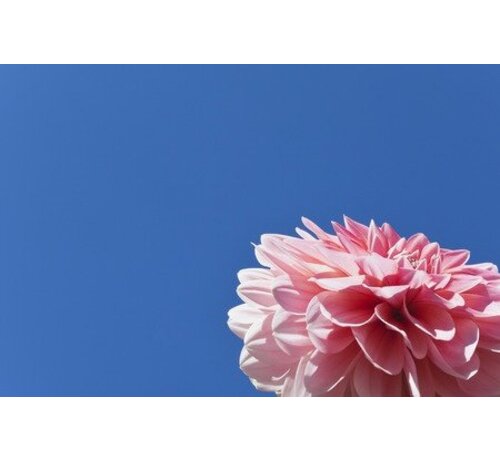 Pink space