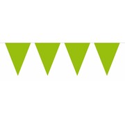 Vlaggenlijn Effen Lime Groen 10m inclusief lint